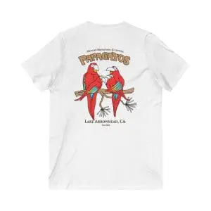 unisex jersey short sleeve v neck tee