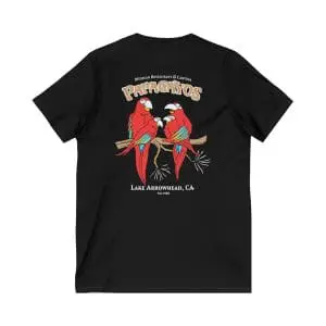 unisex jersey short sleeve v neck tee