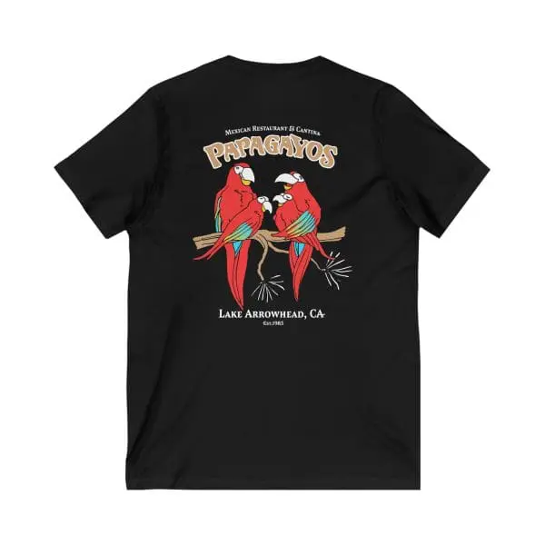 unisex jersey short sleeve v neck tee
