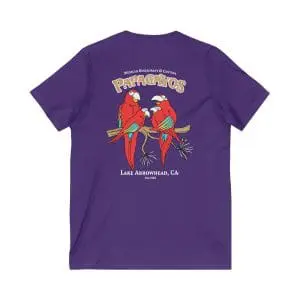 unisex jersey short sleeve v neck tee