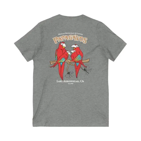 unisex jersey short sleeve v neck tee