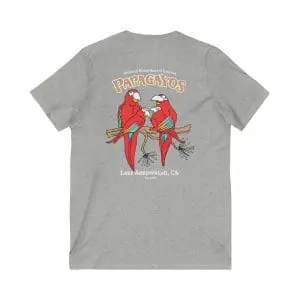 unisex jersey short sleeve v neck tee