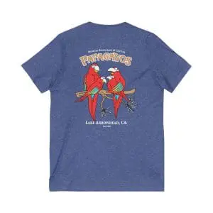 unisex jersey short sleeve v neck tee